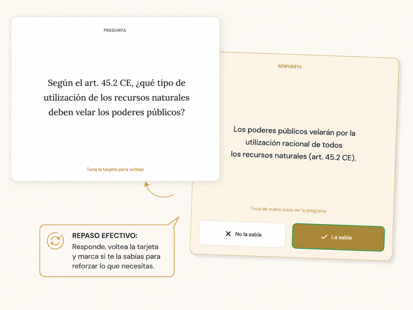 Captura de tarjetas flashcards para repaso rápido